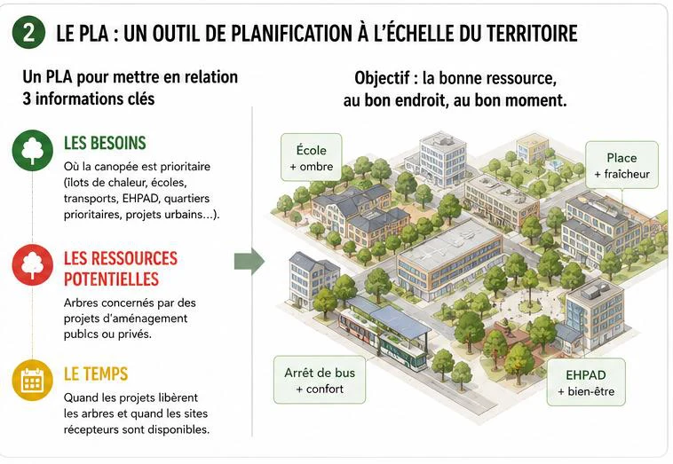 Le PLA, un outil de planification à l'échelle du territoire : relier les besoins de canopée, les ressources végétales disponibles et le calendrier des projets — la bonne ressource, au bon endroit, au bon moment