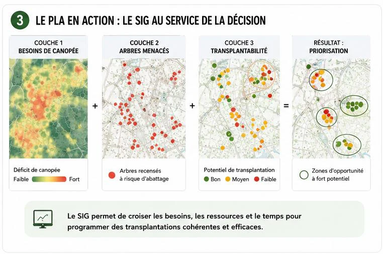 Le PLA en action, le SIG au service de la décision : croiser une couche besoins de canopée, une couche arbres menacés et une couche transplantabilité pour prioriser les zones d'opportunité