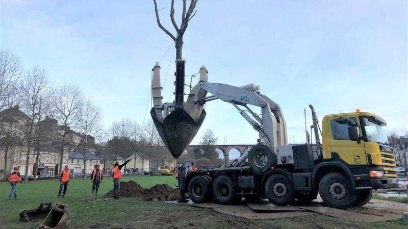 Professionnel